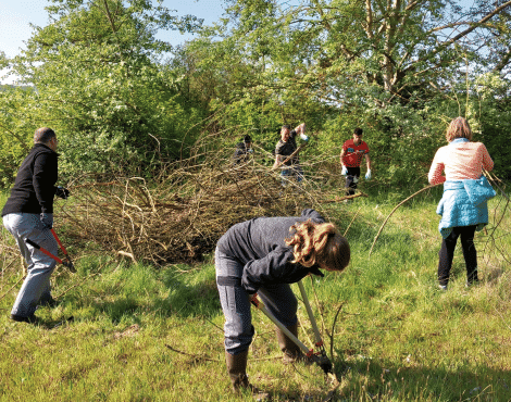 Chantier nature – Un p’tit coup de pouce au Trou Boully